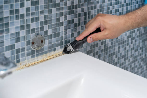 Best Basement Mold Remediation in Hartford, CT
